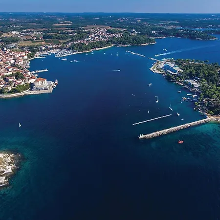 Amazing In * Πόρετς